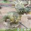 Fiberglass Realistic Dinosaur Statues