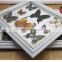 Real Butterfly Mounted in Frames - Decoration & Gifts
