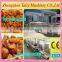 High Speed Most Popular Continuous Fryer