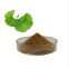 Wholesale Bulk Ginkgo Biloba Extract Ep Ginkgo Flavones