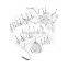 ISM11 QSM M11 Diesel Engine Fan Pulley 3029174 3046206 for Heavy Duty Truck