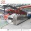 Continous Tunnel Type Hazelnut Drying Equipment/Cocoa Bean Roasting Machine