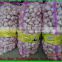 [HOT]2014 fresh white garlic quality agriculture wholesale china/Garlic
