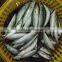 Frozen small size Whole Round Scad