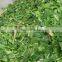 Electric and Diesel animal feed hay grass chopper and chaff cutter