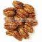 Byloo Pecan nuts fresh pecans supplier Nut Low Prices pecan with shell for Sale to US