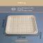 TR220 Tray/Fruit trays/display trays/packaging/Sugarcane pulp is degradable