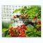 Black PP Anti Bird Netting  Anti Moles Animal Net For Agricultural Farm