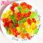 Cheap price various shapes bear shape chewy gummy candy
