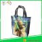 high quality Customized pp non woven promotional tote bag printing non woven bag                        
                                                                                Supplier's Choice