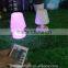 Small LED table light and lighting with remote control