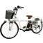 City Star 250W Big Wheel Electric Bicycle