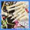 HOGIFT Promotional Ball Point Pen,Best Plastic Ballpoint Pen Zhejiang China