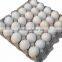 CE certificate Small egg tray machine