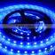 Blue Colorful 5050 LED Strip smd 5050 300led 5m LED flex strips light Sample free