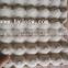 Paper Pulp Egg Holder Tray / Carton With Round Hole