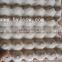 Paper Egg Trays In Cheap Wholesale (Trade Assurance)