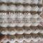 30 Egg Tray Made Of Pure Paper Pulp With Reasonable Price (Direct Sale Plant)