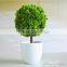 Selling table decoration artificial boxwood grass ball bonsai