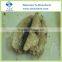Hot Sale Canned Sardine in oil