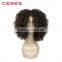 OEM factory cheap price 2016 new popular style 100% Japanese fiber afro kinky curly synthetic wig, jerry curl synthetic hair wig
