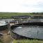 the Most Economical Plastic Fish Farming Tanks for Sale