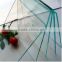 Building glass(clear float glass)