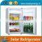 New Style High Quality Minibus Refrigerator