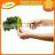 New Arrival Kitchen Accessories Gadgets Cooking Tools Green Onion Chopper Slicer Garlic Coriander Parsley Cutter