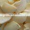 supply frozen dried apple slice with best price for sale