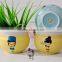 hand painting ceramic flower pot outdoor