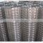 Galvanized Welded Wire Mesh