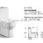 Bathroom Siphonic One Piece Toilet for Sale