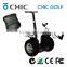 wholesale price CE ROHS certification CHIC GOLF gas scooter stand up