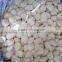 Salted Peeled Garlic Clove Pickled Raw Garlic