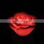 LED rose valentine home decoration light
