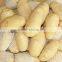 Fresh Potato Exporter