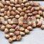 Wholesale price speckled beans light perfect light kidney beans