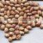 Chinese Light Speckle Kidney Beans for hot sale