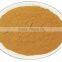 GMP Certified Factory Supply Natural Gymnemic Acid