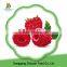 Chinese fruit frozen raspberry for sale with low price