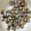 Volvaria volvacea brined best straw mushrooms price 50kg whole straw mushrooms