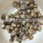 unpeeled Volvaria volvacea 50kg drum whole straw mushrooms salted brined Volvaria volvacea price