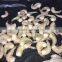 Whole sale frozen vannamei white shrimp hlso fresh seafood price