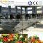 High Quality Fruit and Vegetable Dehydrator 0086-15037185761