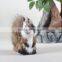 Real Size Realistic Taxidermy Figurine Stuffed Brown Squirrel