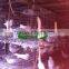 Low Carbon Steel Wire  Pigeon Cage for Poultry Farm
