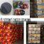 High Quality and Super Effective Africa Market Black Mosquito coil