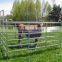 6 bar /5bar Galvanized farm feedlot panel for sale