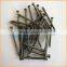 Manufacture high quality low price wood common nail/common iron nail/polished common nail factory nail